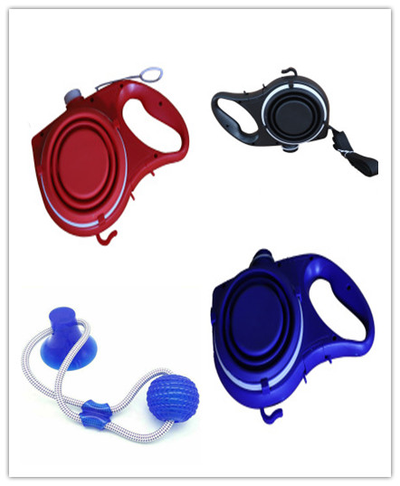 Dog Leash with Water Bottle – 3-in-1 Walking Set