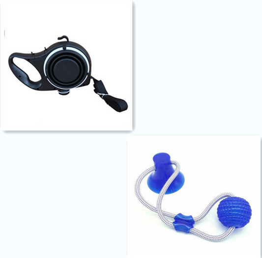 Dog Leash with Water Bottle – 3-in-1 Walking Set